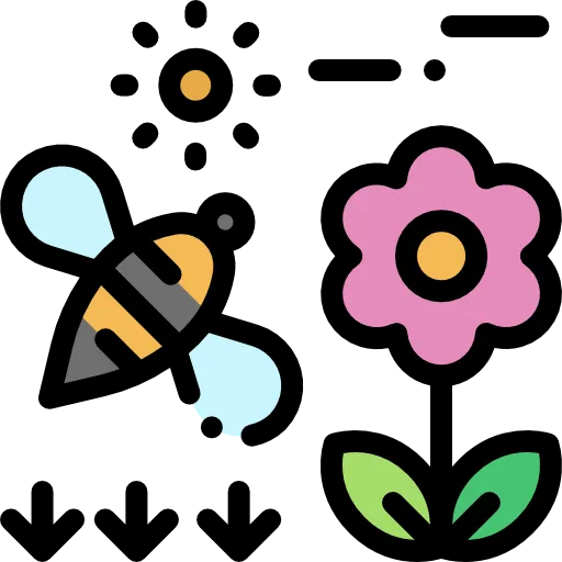 Биоразнообразие