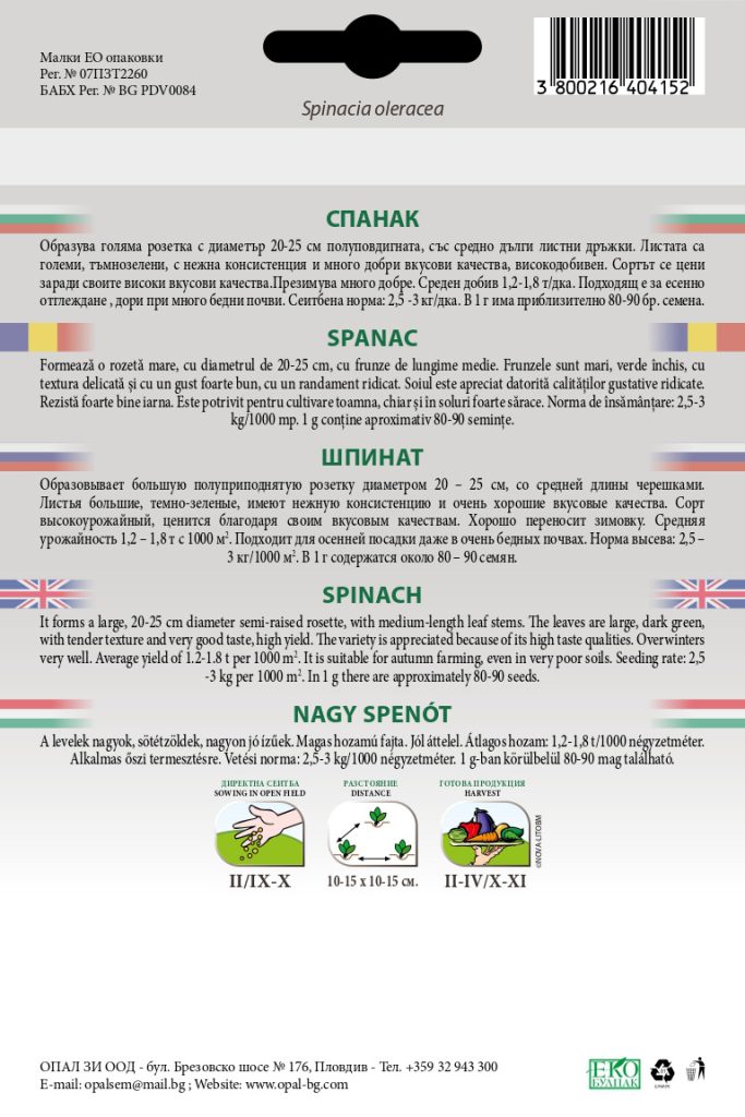 Spanac mare de iarnă