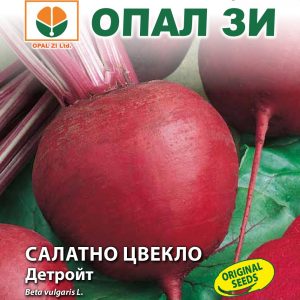 Салатно цвекло Детройт