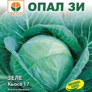Зеле Кьосе 17