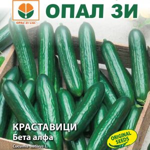 Краставици Бета Алфа