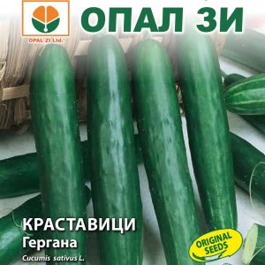 Краставици Гергана