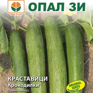 Краставици Крокодилки