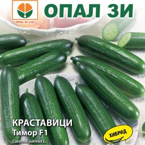 Краставици Тимор F1