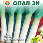 Праз Български гигант