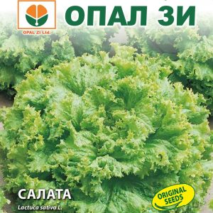 Салата Джентилина