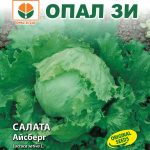 Салата Айсберг