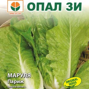 Маруля Париж