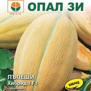 Пъпеши Хибрид 1 F1