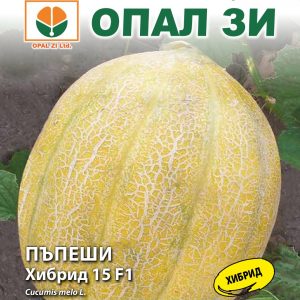 Пъпеши Хибрид 15 F1