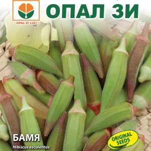 Red Okra ‘Lyaskovets’