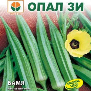 Green Okra