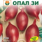 Лук (червен)