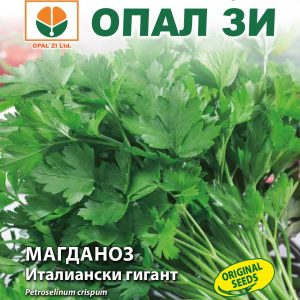 Магданоз Италиански гигант