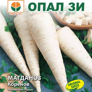 Магданоз Коренов