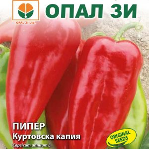 Пипер Куртовска капия