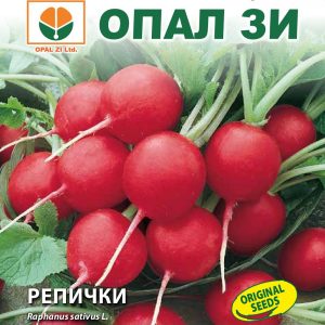 Репички червени кръгли