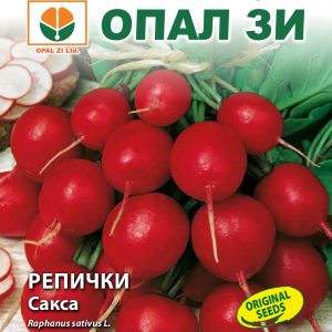 Репички Сакса
