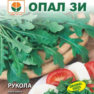Рукола