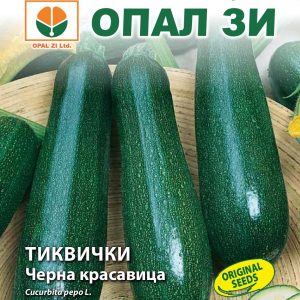 Тиквички Черна красавица