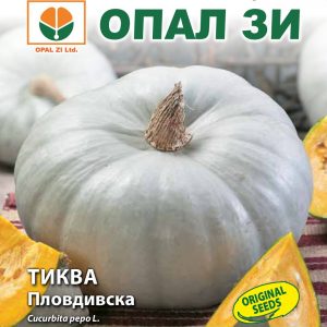 Тиква Пловдивска бяла