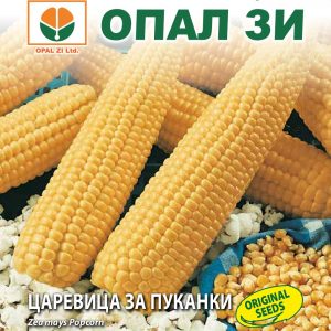 Царевица за пуканки