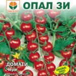 Cherry Tomato