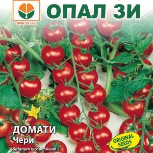 Cherry Tomato