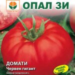 Tomato ‘Red Giant’