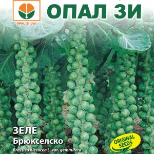 Зеле Брюкселско