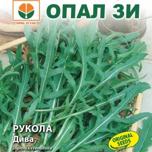 Рукола Дива