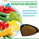 Chelat żelaza EDTA 13%