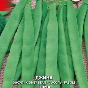 Фасул Джина