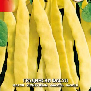 Фасул Градински