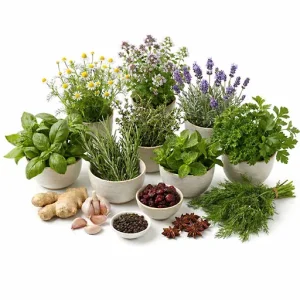 Herbs