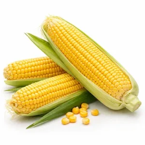 Sweetcorn