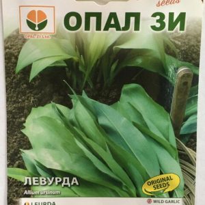 Левурда (див чесън)