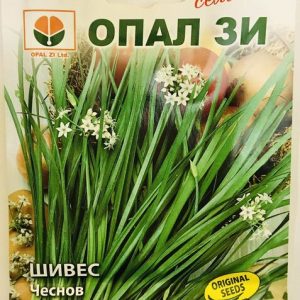 Шивес Чеснов