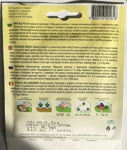 Szczaw ogrodowy „Lapad”