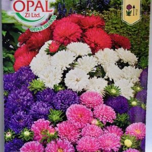 Астри мини микс (Богородички)