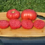 Ред Калабаш (Red Calabash)