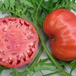 Pomodoro ‘Mortgage Lifter’