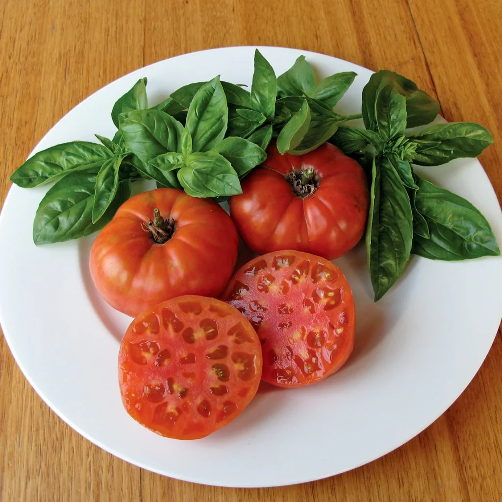 Pomodoro ‘Mortgage Lifter’