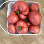 Розов Баба Ванче