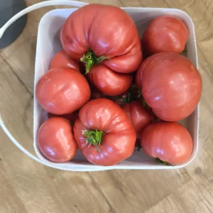 Розов Баба Ванче
