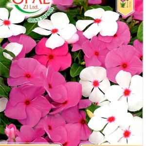 Vinca Mix