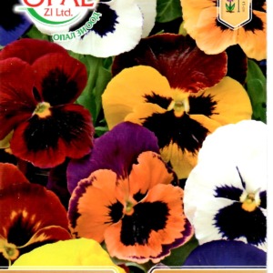 Pansy Mix