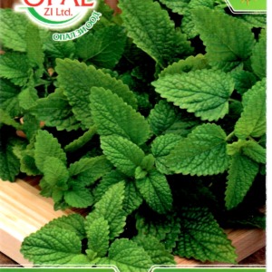 Lemon Balm