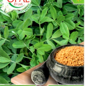 Fenugreek