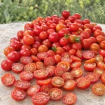 Riesentraube Cherry